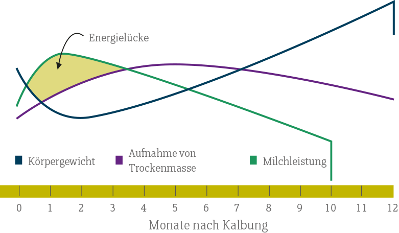 Energieluecke
