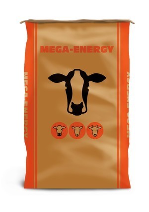 Mega energy verpackung product detail