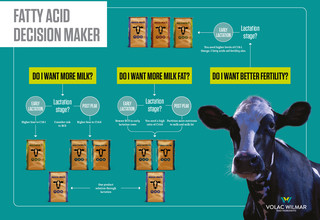 Fatty Acid Decision Maker