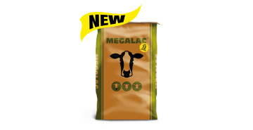 New megalac 2.0 pack product info