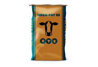 Mega-Fat 88