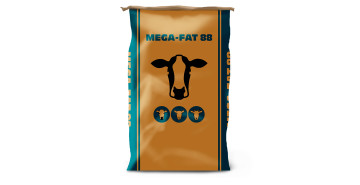 Mega fat 88 pack product info