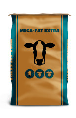 Mega fat extra pack product listing