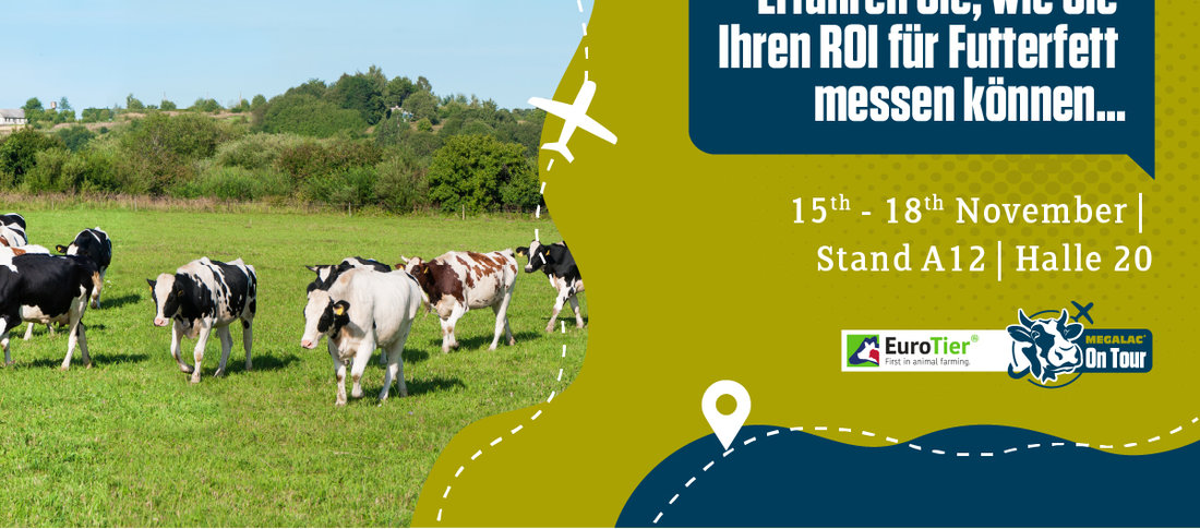 Megalac awareness graphics german banner