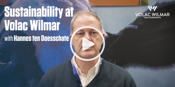 Hannes Video Image