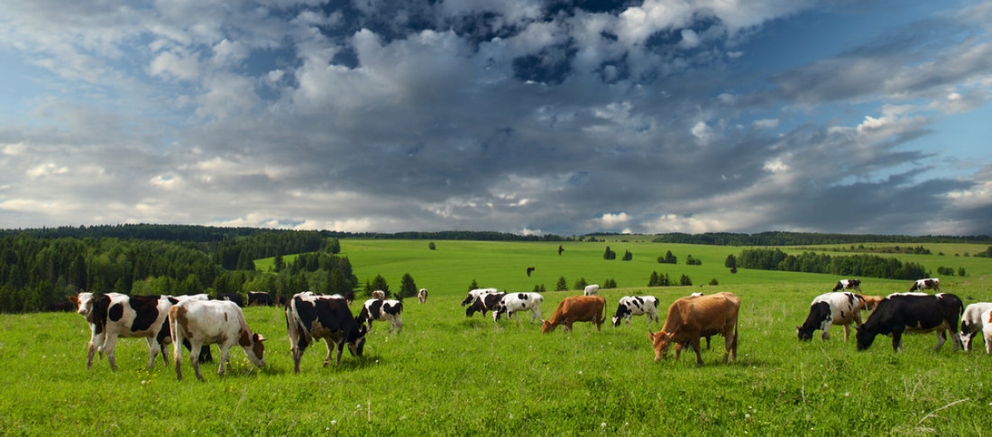 Shutterstock 138906953 original banner