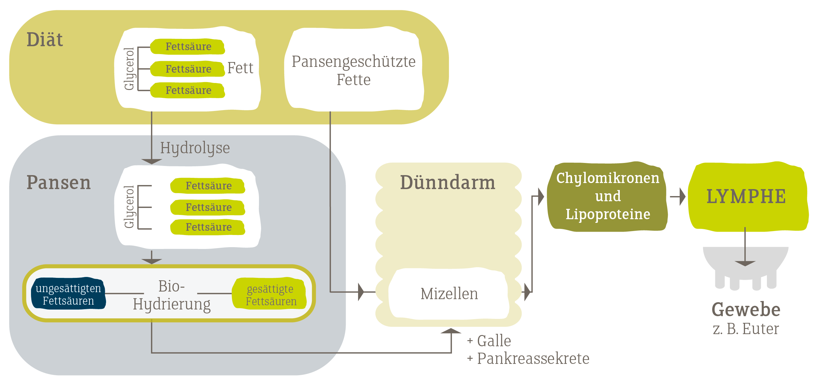 Major Processes