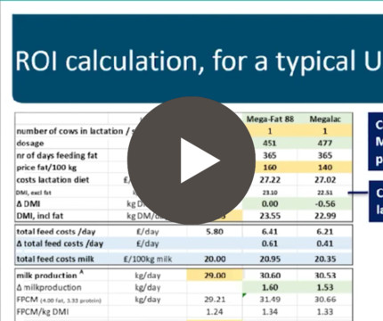 roi_calc_play_2_detail