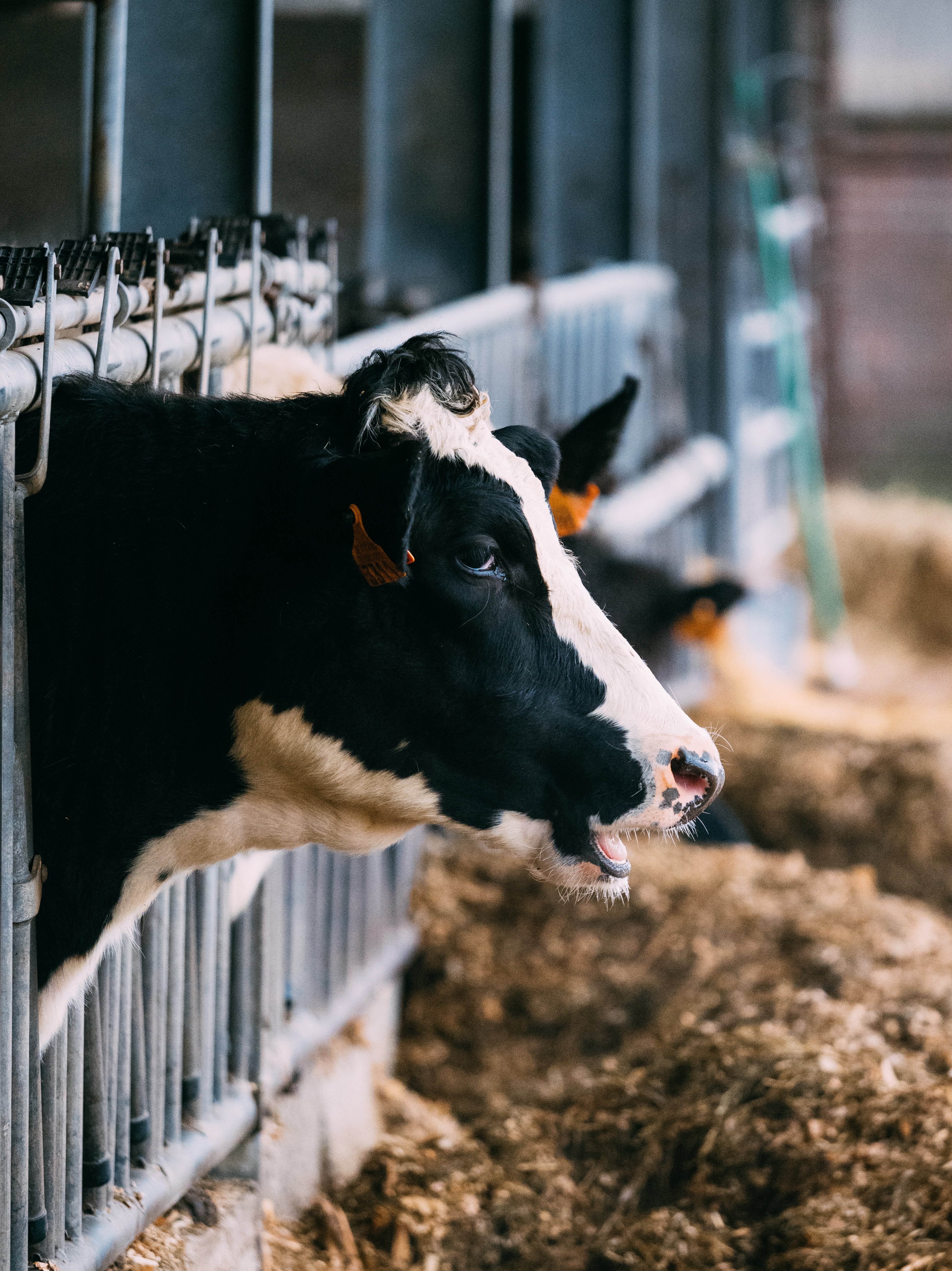 brecht-denil-N0Nrts9tTpw-unsplash
