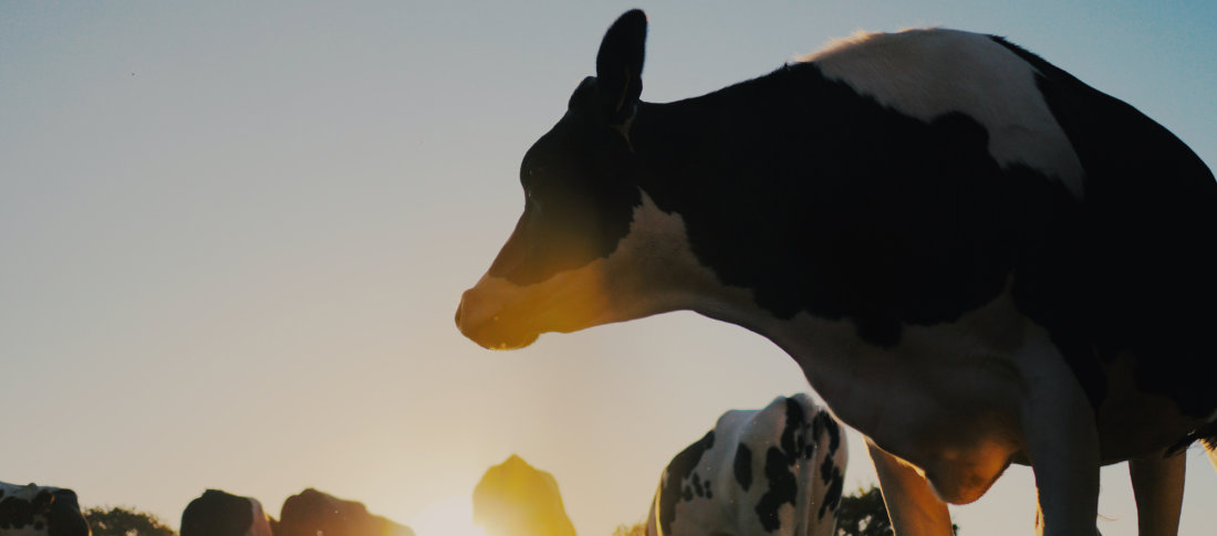 Erwan hesry zmcxsddlwjy unsplash banner