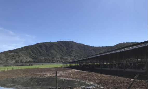 Farming