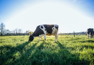 Flash dantz alxjrnhfdsq unsplash original listing