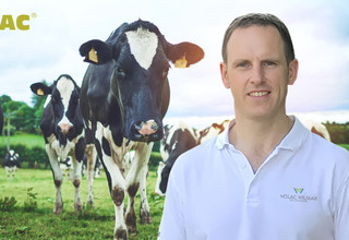 03395 megalacblog springturnout2 v1 %281%29 listing