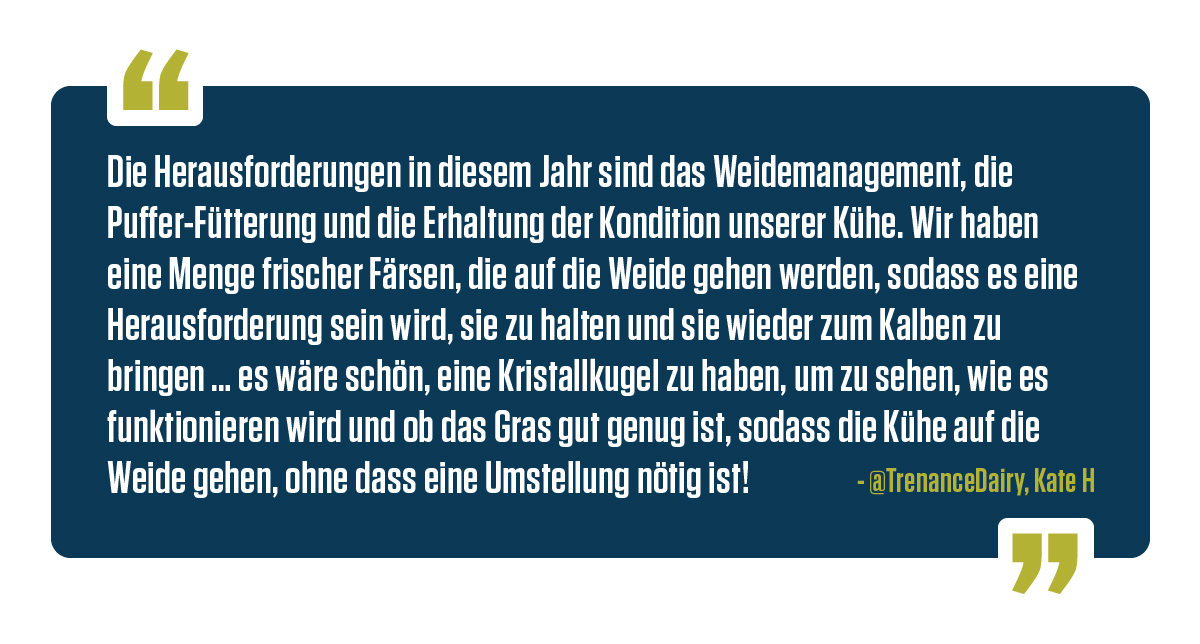 Zitat 
