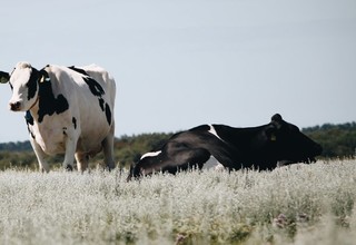 Erik jan leusink 3hiueh4sg5y unsplash banner listing