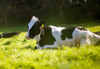 Andy kelly 5apblfc2hus unsplash banner listing