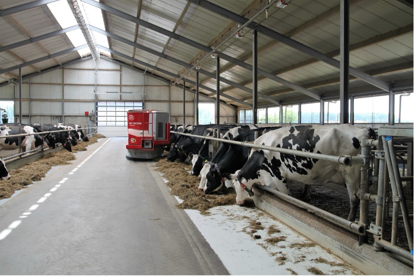feed adjustment