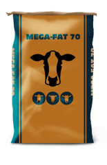 Mega fat 70 pack product detail product listing
