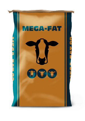 Mega fat pack product detail