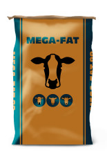 Mega fat pack product listing