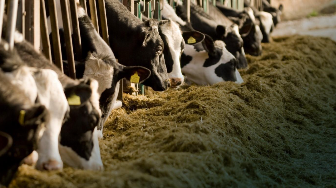 Effizienz unter Druck_II