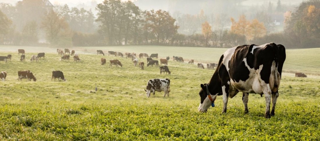 Screenshot 2025 10 10 at 09.30.50 banner