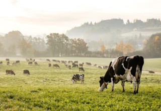 Screenshot 2025 10 10 at 09.30.50 listing