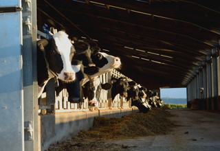 Optimiere winterration listing