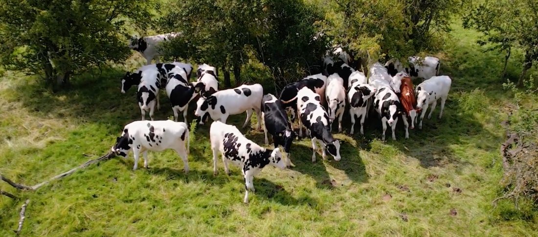 Screenshot 2025 12 16 at 09.12.55 banner