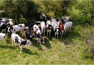 Screenshot 2025 12 16 at 09.12.55 listing