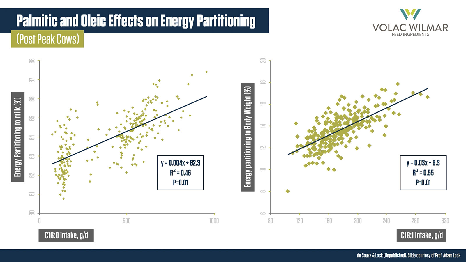 C16:0 mehr Energie in Milch